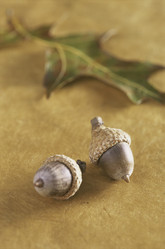 Similar image 8016677