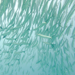 Similar image 8016712