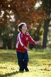 Similar image 8016714