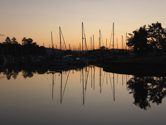 Similar image 8016716