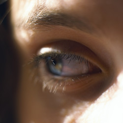 Similar image 8016728