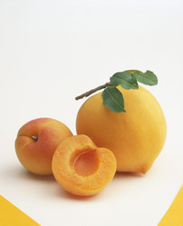 Similar image 8016730