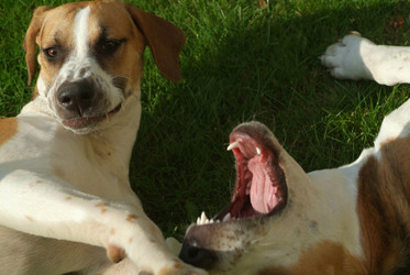 Similar image 8016733