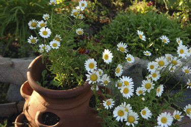 Similar image 8016736