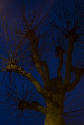 Similar image 8016738