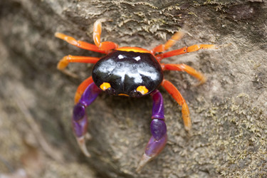 Similar image 8016740