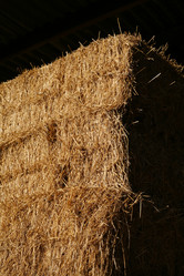 Similar image 8016823