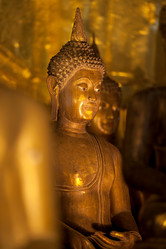 Similar image 8016831