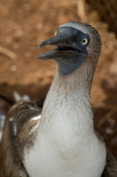 Similar image 8016835