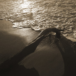 Similar image 8016837