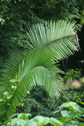 Similar image 8016874