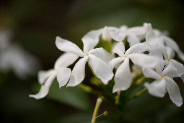 Similar image 8016876