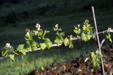 Similar image 8016883