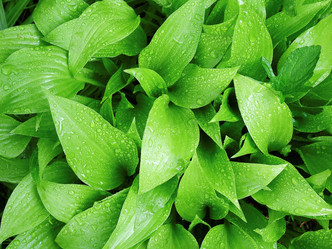 Similar image 8016893