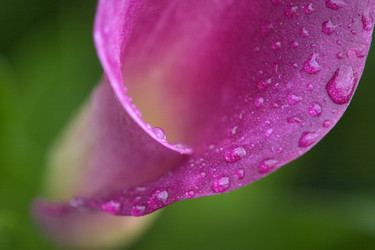 Similar image 8016894