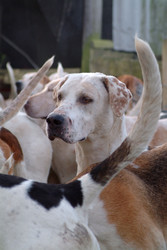 Similar image 8016922