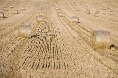 Similar image 8016923