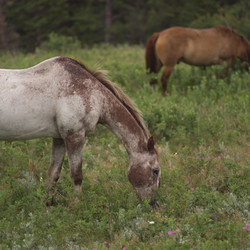 Similar image 8016926