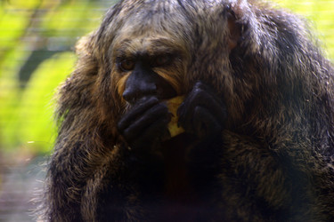 Similar image 8016932