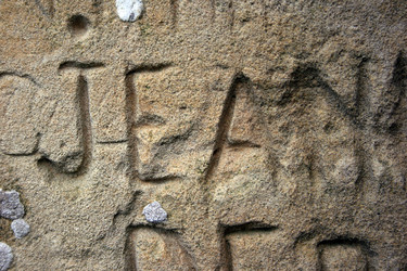 Similar image 8016941