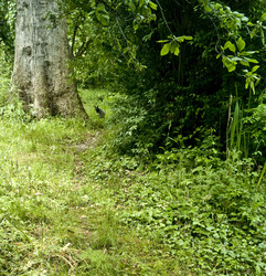 Similar image 8016947