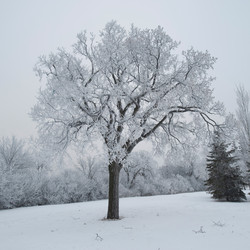 Similar image 8016948