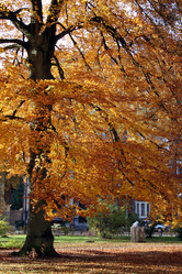 Similar image 8016951