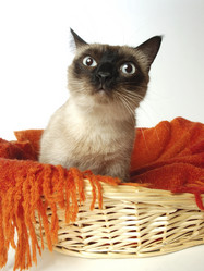 Similar image 8016954