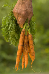 Similar image 8016956