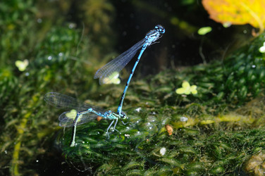 Similar image 8016959