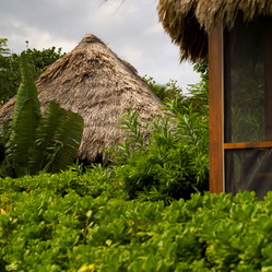 Similar image 8016967