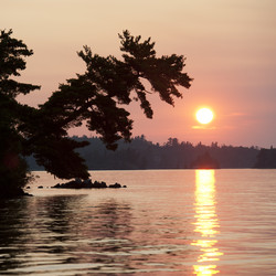 Similar image 8016978