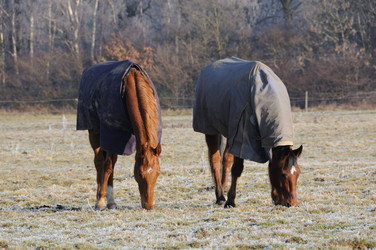 Similar image 8017003