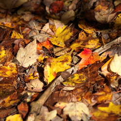 Similar image 8017004