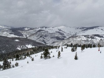 Similar image 8017009