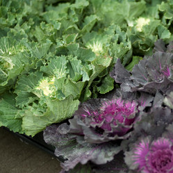 Similar image 8017013