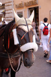 Similar image 8017015