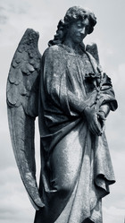 Similar image 8017016