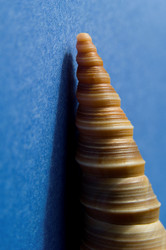 Similar image 8017024