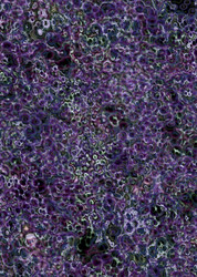 Similar image 8017031