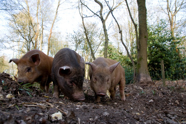 Similar image 8017032