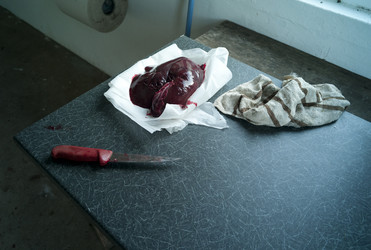 Similar image 8017037