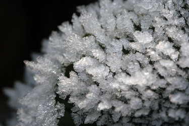 Similar image 8017042