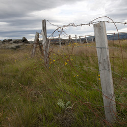 Similar image 8017046