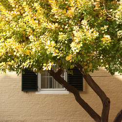 Similar image 8017060