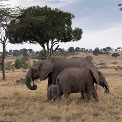 Similar image 8017074