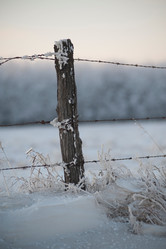 Similar image 8017076