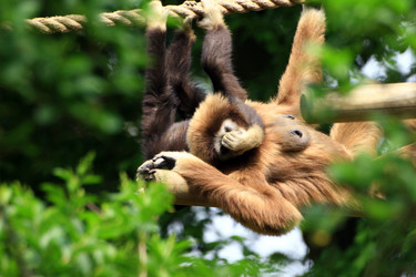 Similar image 8017079