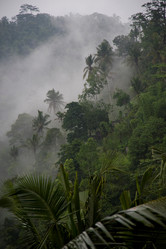 Similar image 8017085