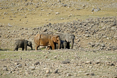 Similar image 8017089